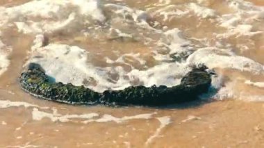 Yuvarlak bir kaya oluşumu kumlu bir sahilde kısmen sığ sulara gömülü, dalgalar yavaşça üzerine çarpıyor..