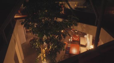 Ortasında ahşap mobilyalar ve sıcak aydınlatmalarla çevrili büyük bir ağacın bulunduğu kapalı bir alan. Atmosfer davetkar ve huzurlu. Rahatlamak ve yemek yemek için ideal..