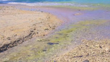 Okyanusa akan sığ bir derenin olduğu sakin bir sahil manzarası. Kumlu sahil çakıl taşları ve deniz kabuklarıyla beneklenirken, su mavi ve yeşil renklerin bir karışımını sergiliyor. Güneş ışığı yüzeyden yansıyarak sakin bir atmosfer yaratır..