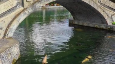 Sakin bir su yüzeyinin üzerinde, taş bir köprünün altından sakin bir manzara. Renkli balıkların, yemyeşil ve sudaki yansımalarla çevrili olarak köprünün altında yüzdüğü görülebilir..