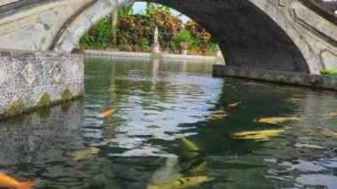 Taştan bir köprünün altında, çevreyi yansıtan berrak bir su manzarası. Renkli koi balıkları, yemyeşil ve canlı çiçeklerle çevrili köprünün altında yüzerler..