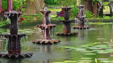 Serin bir bahçe sahnesinde çeşitli katmanlı fıskiyeler ve sulu yeşillikler ve nilliklerle çevrili sakin bir gölete dökülen sular var..