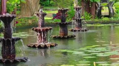 Serin bir bahçe sahnesinde çeşitli dekoratif fıskiyeler ve sulu yeşillik ve nilliklerle çevrili sakin bir gölete dökülen sular var..