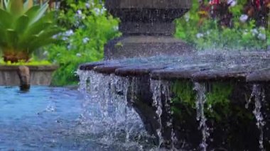 Yeşillik ve renkli çiçeklerle çevrili çağlayan suyla çevrili bir çeşmenin yakın görüntüsü. Su sıçrar ve sakin bir atmosfer yaratır..