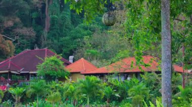 Bereketli yeşillik ve ağaçlarla çevrili taştan bir heykelin olduğu sakin bir bahçe sahnesi. Arka planda uzun bir çeşme ve canlı bir yeşillik var. Huzurlu bir atmosfer yaratıyor..