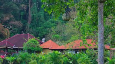 Bereketli bir yeşillik, tropikal ağaçlar ve kırmızı kiremitli çatılı geleneksel bir ev içeren sakin bir manzara. Büyük yuvarlak bir nesne ağaçtan sarkıyor ve sahneye ilginç bir odak noktası ekliyor..