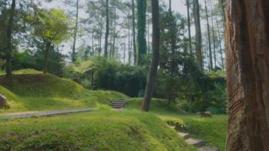 Bereketli yeşil çimenler, uzun ağaçlar ve doğal manzaradan geçen taş basamaklardan oluşan sakin bir orman manzarası. Güneş ışığı yaprakların arasından süzülüp barışçıl bir atmosfer yaratır..