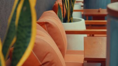 Modern çömleklerdeki dekoratif bitkilerle çevrili ahşap banklarda turuncu yastıkların bulunduğu rahat bir oturma alanı. Ortam sıcak ve davetkar, rahatlamak için ideal..