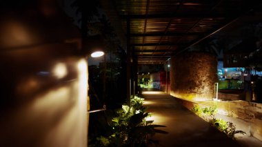Gece karanlığında loş bir yürüyüş yolu bitkilerle ve bir kafede yanıp sönen ışıkla