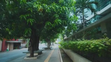 Oturmak için bankların bulunduğu yemyeşil ağaçlar ve çalılarla kaplı sakin bir şehir yolu. Sahne, arka planda binalar olan bir şehir ortamında huzurlu bir atmosfer yakalıyor..