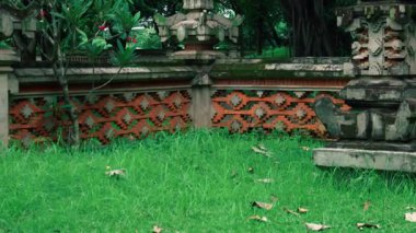 Çimenli yeşil çimenler ve dağınık kuru yapraklarla çevrili karmaşık desenli dekoratif taş bir duvarın yer aldığı sakin bir bahçe sahnesi. Ortam sakin ve doğal..