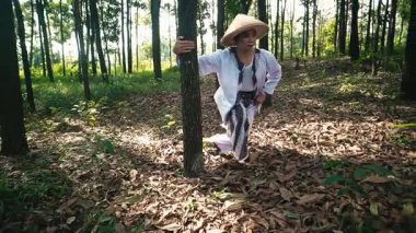 Geleneksel giyinmiş bir insan, yemyeşil ve düşmüş yapraklarla çevrili bir ormandaki bir ağacın yanında çömelir. Güneş ışığı ağaçların arasından süzülerek sakin bir atmosfer yaratır..