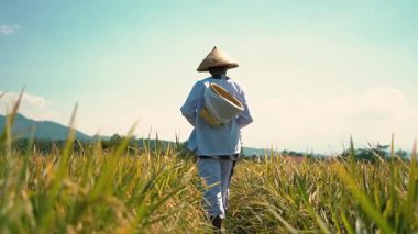 Açık mavi gökyüzünün altındaki altın pirinç tarlasında yürüyen bir çiftçi. Çiftçi geleneksel giysiler ve hasır şapka giyer, bir sepet taşır. Manzara uzak dağları ve yemyeşil alanları barındırır..