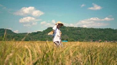 Pofuduk bulutlarla dolu mavi gökyüzünün altında altın pirinç tarlasında yürüyen bir çiftçi. Manzara, arka planda yemyeşil tepeler barındırarak sakin kırsal bir manzara yaratıyor..