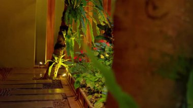 Yumuşak ışıklarla aydınlatılmış, yemyeşil ve canlı çiçeklerle çevrili sakin bir bahçe yolu. Sahne huzurlu bir ortam yakalıyor, rahatlamak için mükemmel..