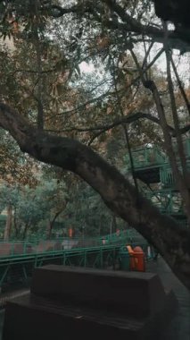 Bereketli ağaçlarla çevrili yeşil bir merdivenin olduğu sakin bir açık hava sahnesi. Zemin ahşap ve yakınlarda renkli çöp kutuları var. Atmosfer, sonbahar yapraklarıyla sakin ve doğal..