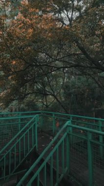 Yeşil metal bir merdiven, sonbahar yapraklı ağaçlarla çevrili sık bir ormana çıkar. Sahne sakin ve doğa ve keşif duygusunu çağrıştırıyor..