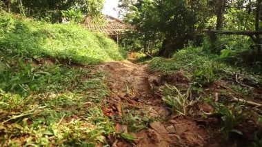 Yeşilliklerin arasından süzülen toprak bir patika. Orman bölgesinde kısmen inşa edilmiş bir eve çıkıyor. Sahne sakin ve doğal, kırsal hayatın güzelliğini gösteriyor..