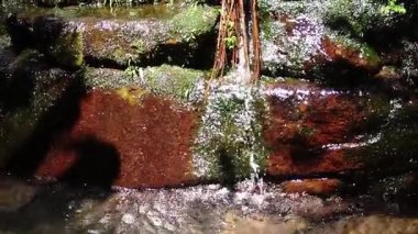 Yeşil yosunlarla çevrili, aşağı süzülen kayalık bir yüzeye yakın çekim. Güneş ışığı suda parlak yansımalar yaratır, sahnenin doğal güzelliğini arttırır..