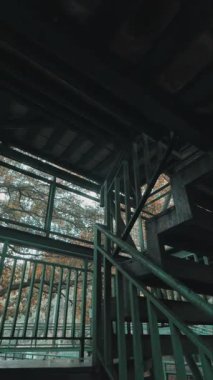 Ağaçlarla çevrili ahşap parmaklıklı bir merdiven manzarası. Görüntü, merdivenlerin karmaşık dizaynını ve yaprakların arasından süzülen doğal ışığı yakalıyor..