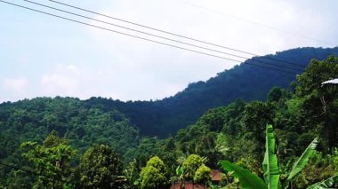 Bulutlu bir gökyüzünün altındaki yemyeşil dağların manzarası. Elektrik hatları görüntüyü kesiyor. Ön planda yoğun ağaçlar ve tropikal bitki örtüsü bulunur ve sakin bir doğal manzara oluşturur..