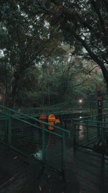 Etrafı yemyeşil ağaçlarla çevrili, ahşap döşemeli sakin bir orman yolu. İki renkli çöp tenekesi, biri turuncu ve biri sarı, yol boyunca yerleştiriliyor. Atmosfer sakin ve biraz da sisli. Bu da sabah ya da akşam üzeri olduğunu gösteriyor..