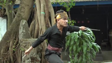 Geleneksel kıyafetli bir dövüş sanatçısı, yemyeşil ve antik ağaçlarla çevrili açık havada kılıç tekniğini icra eder. Pratisyen hekimin dinamik hareketi ve becerisi üzerinde duruluyor..