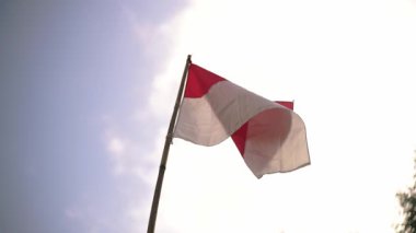 Beyaz arka planda ikonik kırmızı çemberini gösteren parlak bir gökyüzüne doğru dalgalanan bir Japon bayrağı..