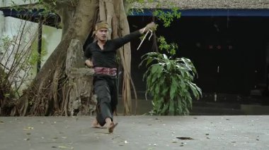 Bir dövüş sanatçısı açık havada geleneksel bir hareket sergiliyor çeviklik ve beceri sergiliyor. Ayarlar yemyeşil ve kırsal bir arkaplan içeriyor, dinamik eylemi geliştiriyor.