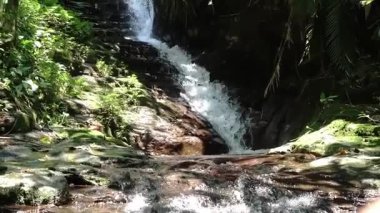 Bereketli yeşilliklerle çevrili kayalık arazide çağlayan sakin bir şelale. Güneş ışığında parlayan su doğal ortamda sakin bir atmosfer yaratıyor..