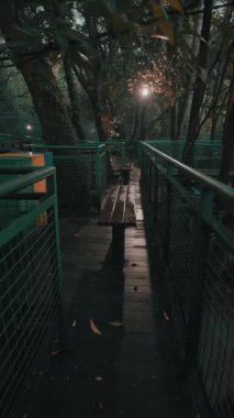 Her iki tarafında yemyeşil banklar olan bir ormanda sakin bir patika. Sahne, ağaçların arasından süzülen yumuşak ışıkla aydınlatılıyor ve sakin bir atmosfer yaratıyor. Islak yüzeyler yakın zamanda yağdığını gösteriyor..