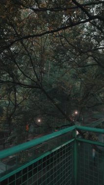 Yumuşak ışıklarla aydınlatılan yemyeşil bir ormanda dolambaçlı bir yol manzarası. Yol sık ağaçlar ve yapraklarla çevrili. Huzurlu bir atmosfer yaratıyorlar..