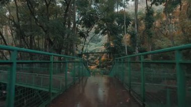 Bereketli yeşil ağaçlar ve yeşilliklerle dolu sakin bir orman sahnesi, bir dolambaçlı yolu ve arka planda bir köprüsü var. Atmosfer sakin ve sakin, doğanın güzelliğini gösteriyor..