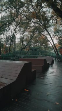 Yağmurlu bir günde ahşap bankların yer aldığı sakin bir açık alan. Bölge sonbahar yapraklı gür ağaçlarla çevrili. Huzurlu bir atmosfer yaratıyorlar..