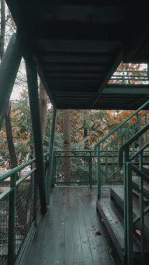 Yeşillik ve sonbahar yapraklarıyla çevrili yeşil parmaklıkları ve merdivenleri olan ahşap bir güverte. Sahne sakin, doğa ve mimarinin bir karışımını sergiliyor..