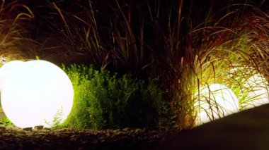 Bereketli yeşil çimenler ve süs bitkileriyle çevrili parlak ışık kürelerinin olduğu huzurlu bir gece sahnesi. Yumuşak aydınlatma, yaprakların dokusunu vurgulayarak rahatlatıcı bir atmosfer yaratıyor..