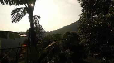 Ağaçların arasından süzülen yemyeşil yemyeşil ve güneş ışığıyla dağlık manzaralı bir manzara. Palmiye ağaçlarının silueti ön planda görülebilir ve sakin bir atmosfer yaratır..