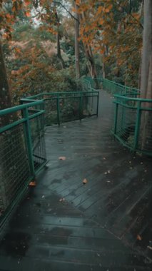 Bereketli yeşillikler ve sonbahar yapraklarıyla çevrili dolambaçlı ahşap bir geçit. Yol yeşil bir korkulukla yükseltilmiş, ormanlık alanda sakin bir atmosfer yaratmış..