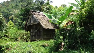 Yeşillik ve tropikal bitkilerle çevrili sazdan yapılmış ahşap bir kulübe. Kulübe canlı bir orman alanına kurulmuş, doğanın güzelliğini gözler önüne seriyor..