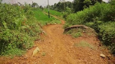 Kırsal alanda yemyeşil bitki örtüsü ve pirinç tarlaları arasında bir toprak yol esiyor..