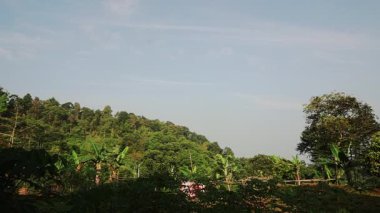 Berrak mavi gökyüzünün altında yemyeşil tepeler ve ağaçlardan oluşan sakin bir manzara. Ön planda tropikal bitkiler ve kırsal yaşam izleri var..