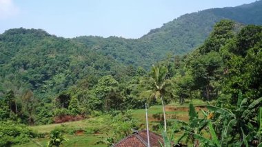 Önünde kırmızı bir çatı bulunan geleneksel bir evin bulunduğu yemyeşil dağların ve kırsal bir manzaranın manzarası. Bölge, palmiye ağaçları ve diğer tropikal bitkiler de dahil olmak üzere bitki örtüsü açısından zengindir..