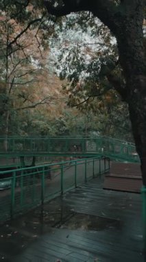 Bereketli yeşil bir parkta, sakin bir su kütlesinin üzerinde ahşap bir yürüyüş yolu ve bir köprü bulunan sakin bir patika. Sahne sonbahar yapraklı ağaçlarla çevrili. Huzurlu bir atmosfer yaratıyorlar..