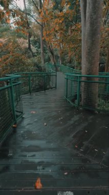 Yeşillik ve sonbahar yapraklarıyla çevrili dolambaçlı ahşap bir patika. Yol yeşil korkuluklardan oluşuyor ve sakin bir orman ortamında geçiyor, sakin bir atmosfer yaratıyor..