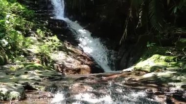 Bereketli yeşil yapraklarla çevrili kayalık arazide çağlayan sakin bir şelale. Güneş ışığı ağaçların arasından süzülüp sakin bir atmosfer yaratır..