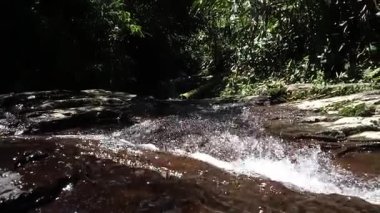 Yeşillik bir ormandaki akarsuyun yakın görüntüsü. Su taşların üzerinde çağlar, küçük sıçramalar ve kabarcıklar yaratır. Güneş ışığı ağaçların arasından süzülüyor, sahneyi aydınlatıyor..