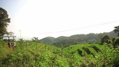 Teraslı pirinç tarlalarının manzarası yemyeşil, arka planda tepeler ve açık bir gökyüzü. İnsanlar yolda yürürken, manzaranın tadını çıkarırken görülebilir..