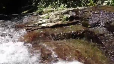 Taşların üzerinden temiz su akan kayalık bir derenin yakın görüntüsü. Güneş ışığı sudan yansıyarak ışıl ışıl bir etki yaratır. Yeşillik, doğal güzelliği artırarak sahneyi çevreledi..