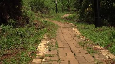 Yeşillik ve bitkilerle çevrili dolambaçlı bir tuğla yolu, doğal bir manzaraya çıkıyor. Yol kısmen otlarla kaplı. Bu da sakin bir açık hava ortamı olduğunu gösteriyor..