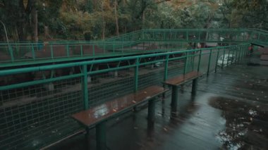 Etrafı yemyeşil ağaçlarla çevrili bir kanalın üzerindeki yeşil yaya köprüsü. Sahne sakin, ön planda ahşap bir bank ve köprüde yürüyen birkaç kişi var. Atmosfer sakin ve sakin, sakin bir yürüyüş için mükemmel..